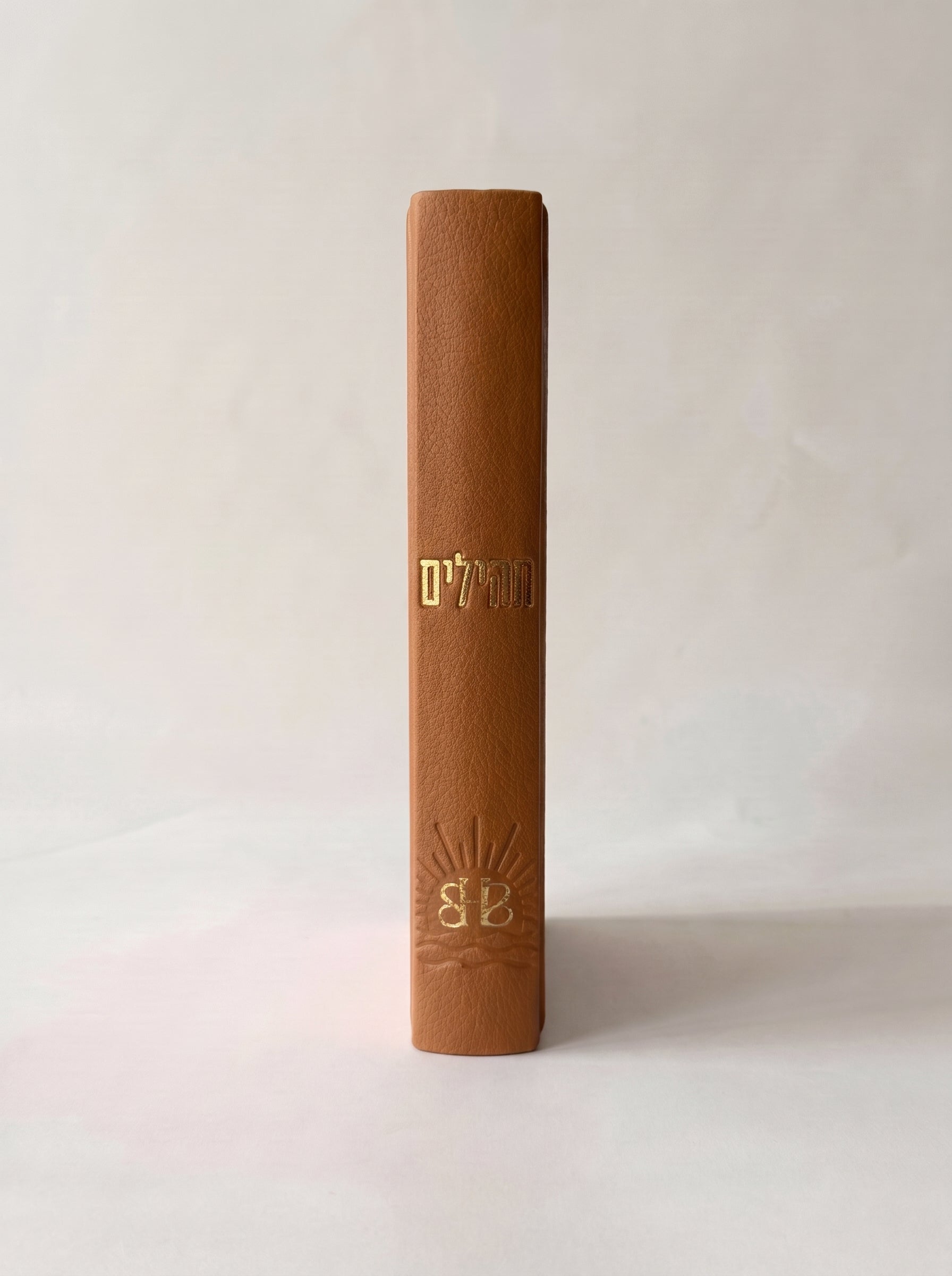 ספר תהילים לבשורות טובות - מהדורת 613