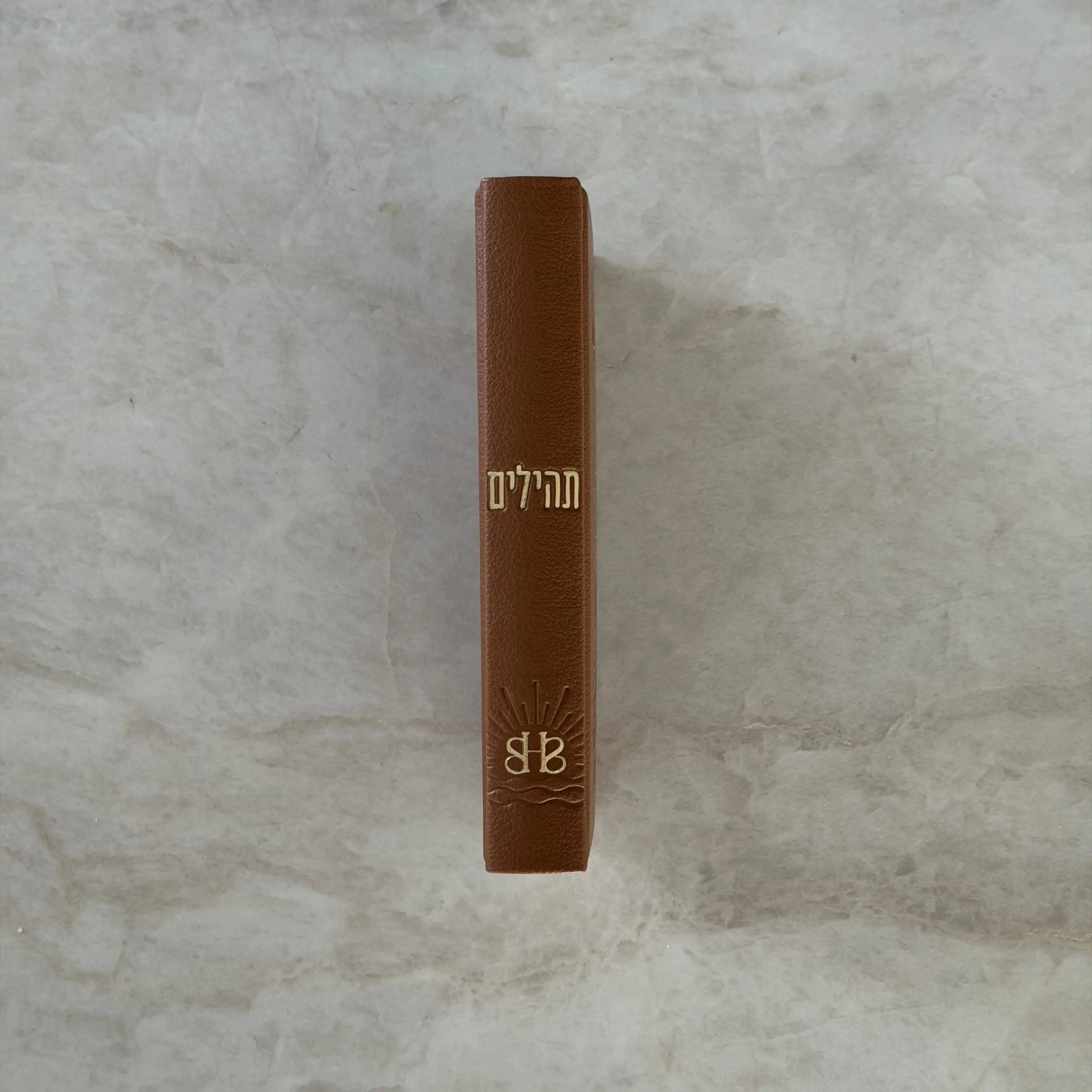 ספר תהילים לבשורות טובות - מהדורת 613