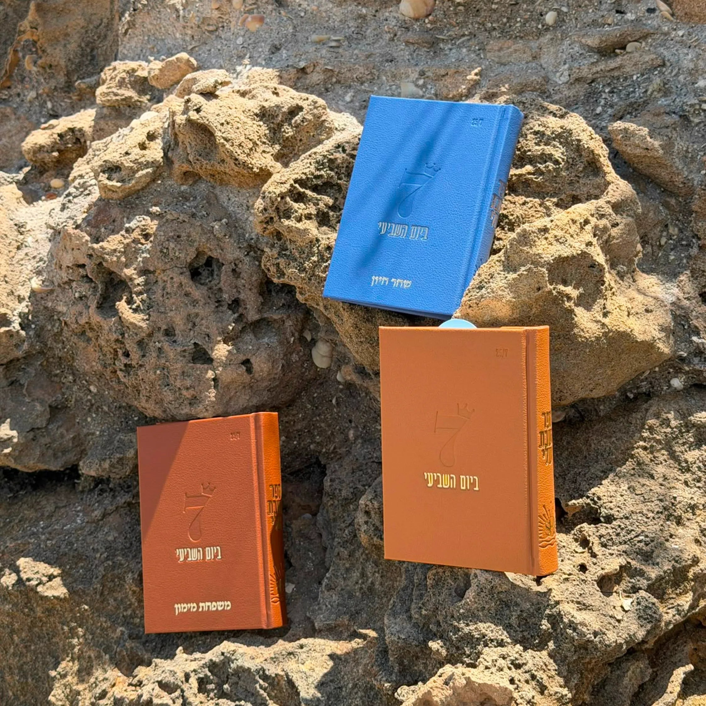 ספר השבת שלי