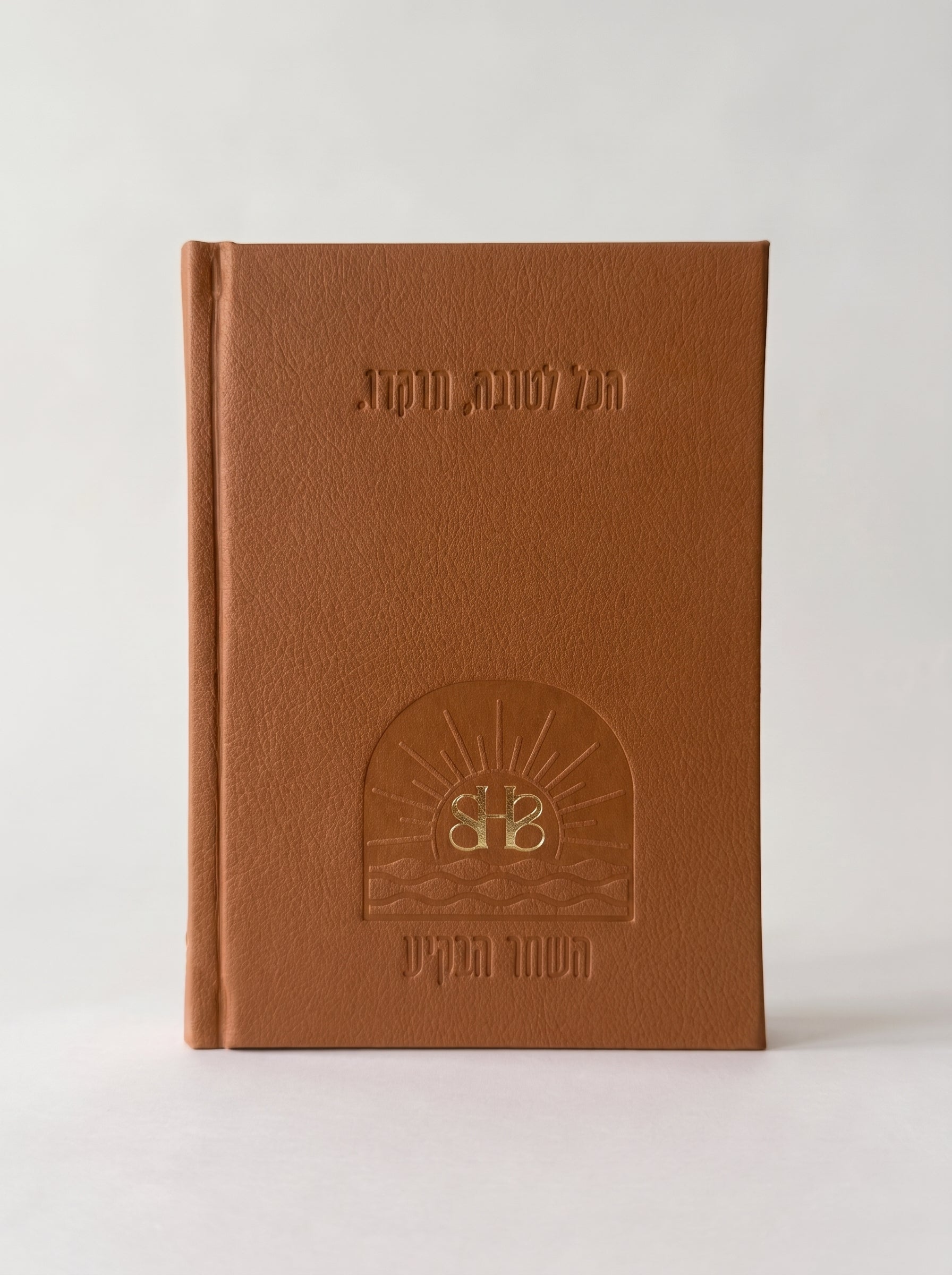 ספר תהילים לבשורות טובות - מהדורת 613